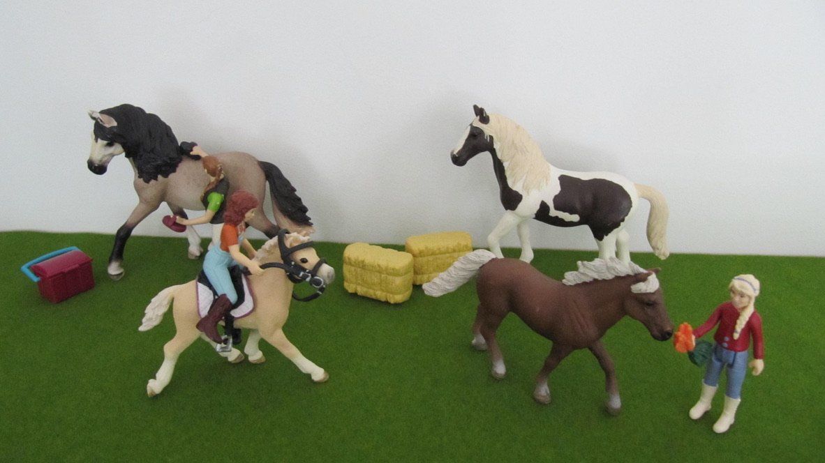 Schleich Giocattoli: Schleich Pferdekoppel mit Eingangstor + Zubehör – Usato da Brunnen venduto da Kiwiland1 1