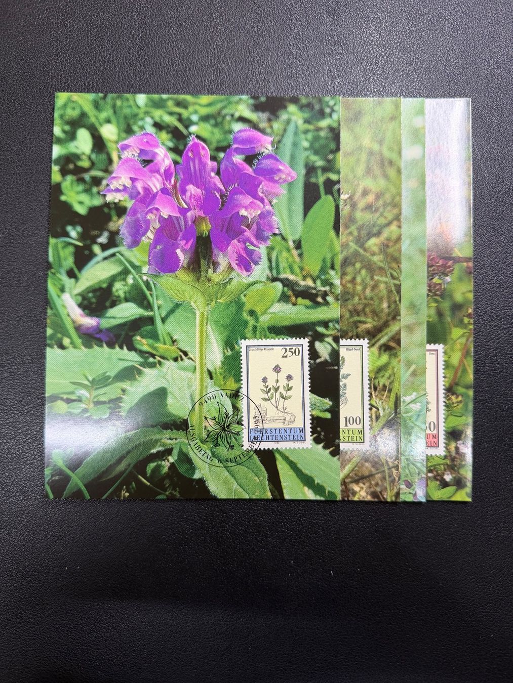 Tous les timbres: Liechtenstein Maximumkarten 119/1993 – D'occasion à oberrüti par jeanmei