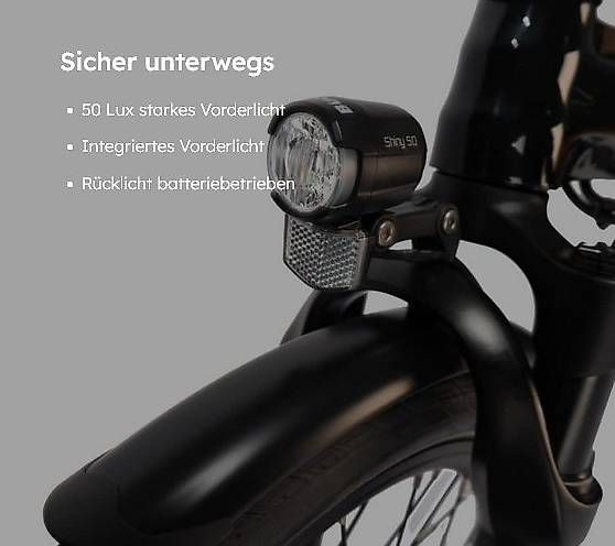Biciclette: leichtes Carbon E-Pendler fully Klapprad, schwarz / Eflizzer – Usato da Lausen venduto da MartinUrs 7