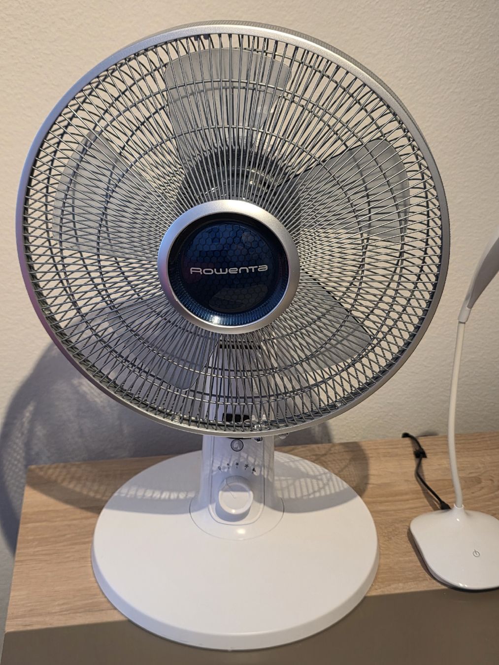 Rowenta Ventilatori: Tischventilator von Rowenta  – Usato da Winterthur venduto da Teck4K