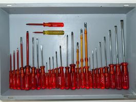 PB Swiss Tools Schraubenzieher Set, 30-teilig Paul Baumann