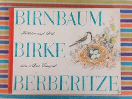 Birnbaum Birke Berberitze💥🌞 Alois Carigiet
