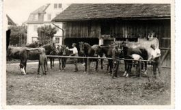 Train Soldaten 1941
