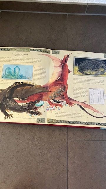 Libri: Cooles Drachen-Buch – Usato da Altstätten SG venduto da gina6378 1