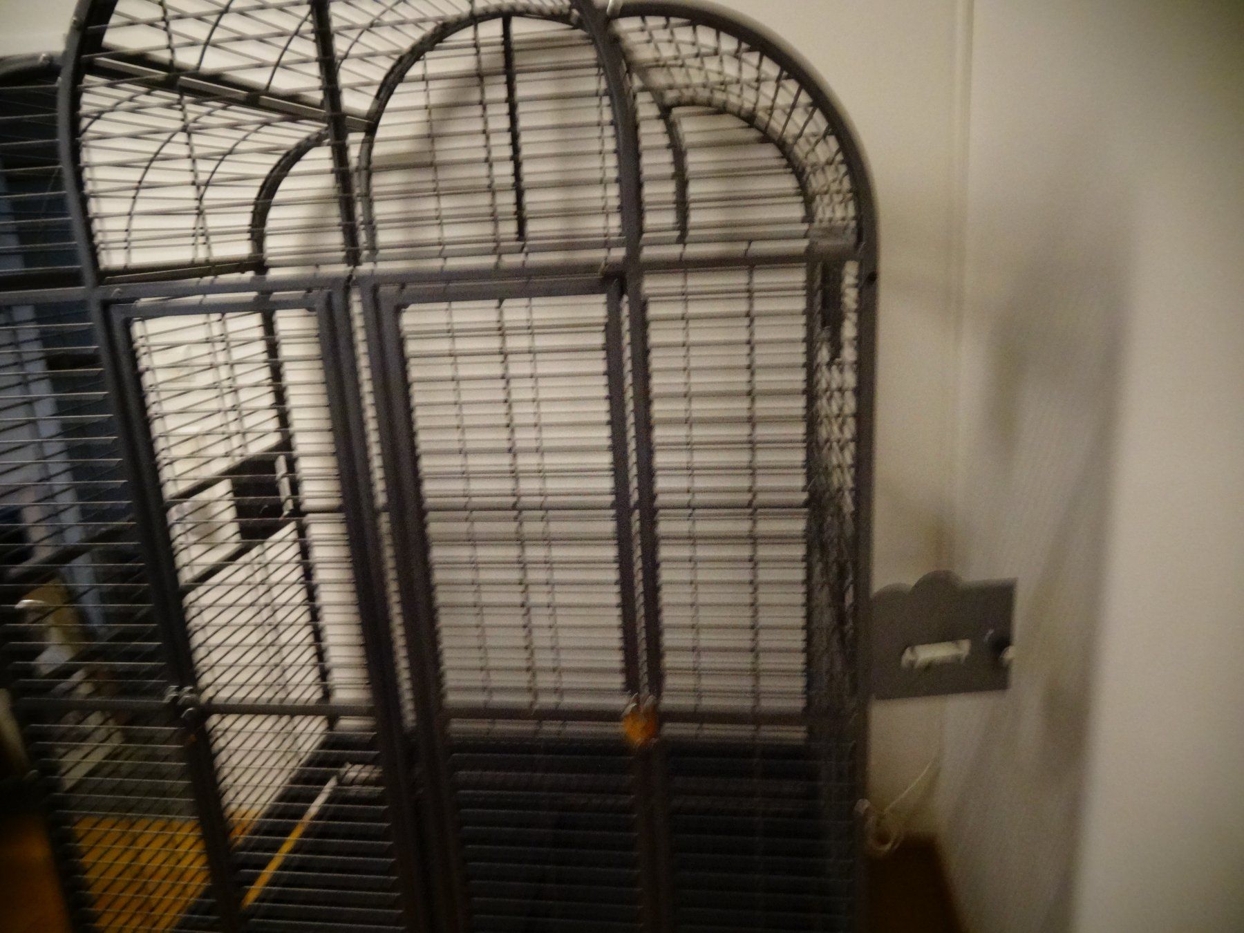 Cages, transport & sécurité: Voliere gross für Vögel – D'occasion à Neerach par jenny062 6