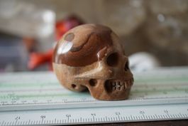Landschafs Jaspis  Matrix  Skull  Detailliert     "Topstone"