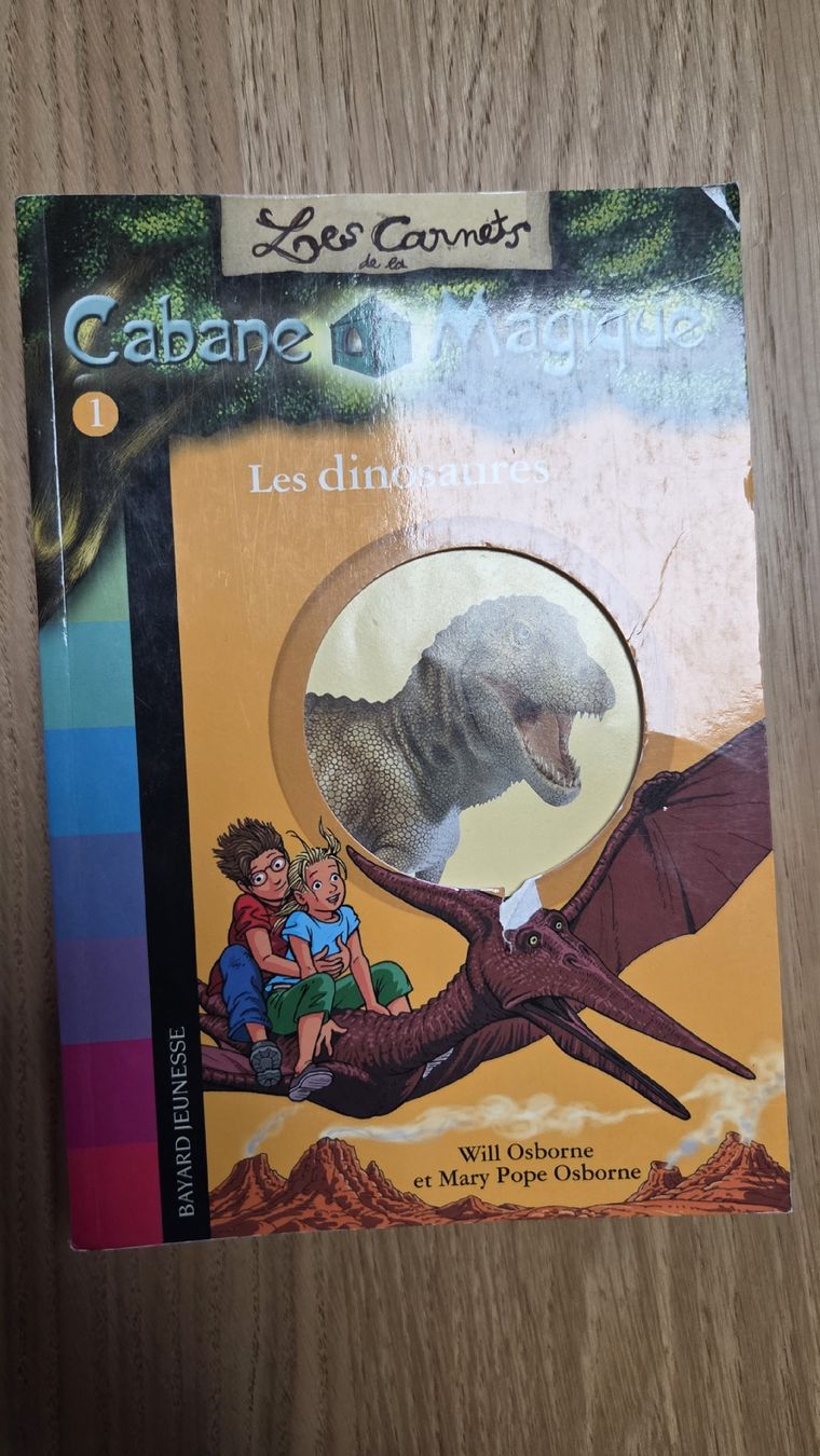Bücher: Cabane Magique lot 16 – Gebraucht aus Le Pâquier-Montbarry von Gruyere77