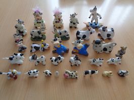 Kühe Lot