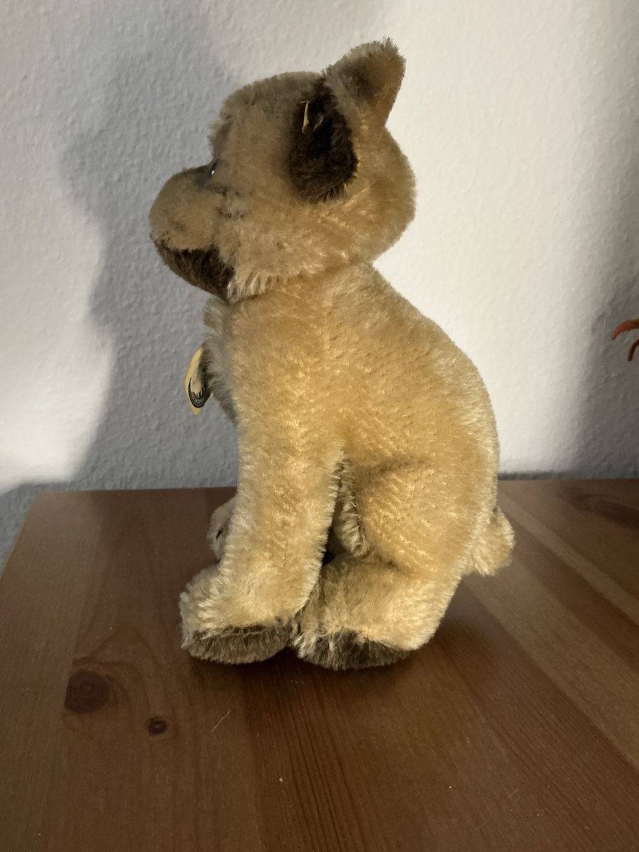 Steiff Giocattoli: Steiff Mopsy Nr.3322 – Usato da Basel venduto da S.Wehrli72 3