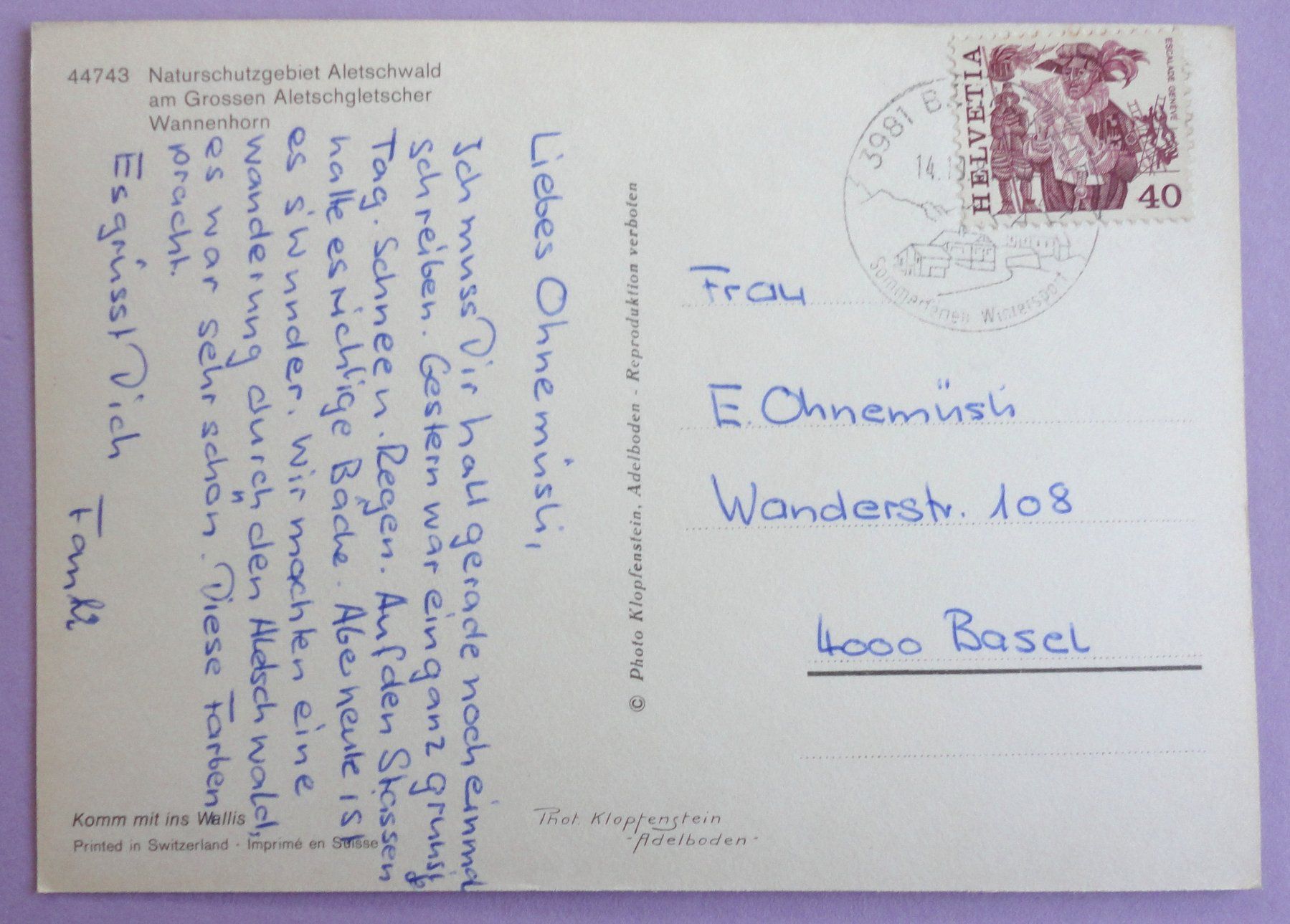 Cartoline postali: Aletschwald,  am Gr. Aletschgletscher – Usato da Fétigny venduto da Billy2miny 1