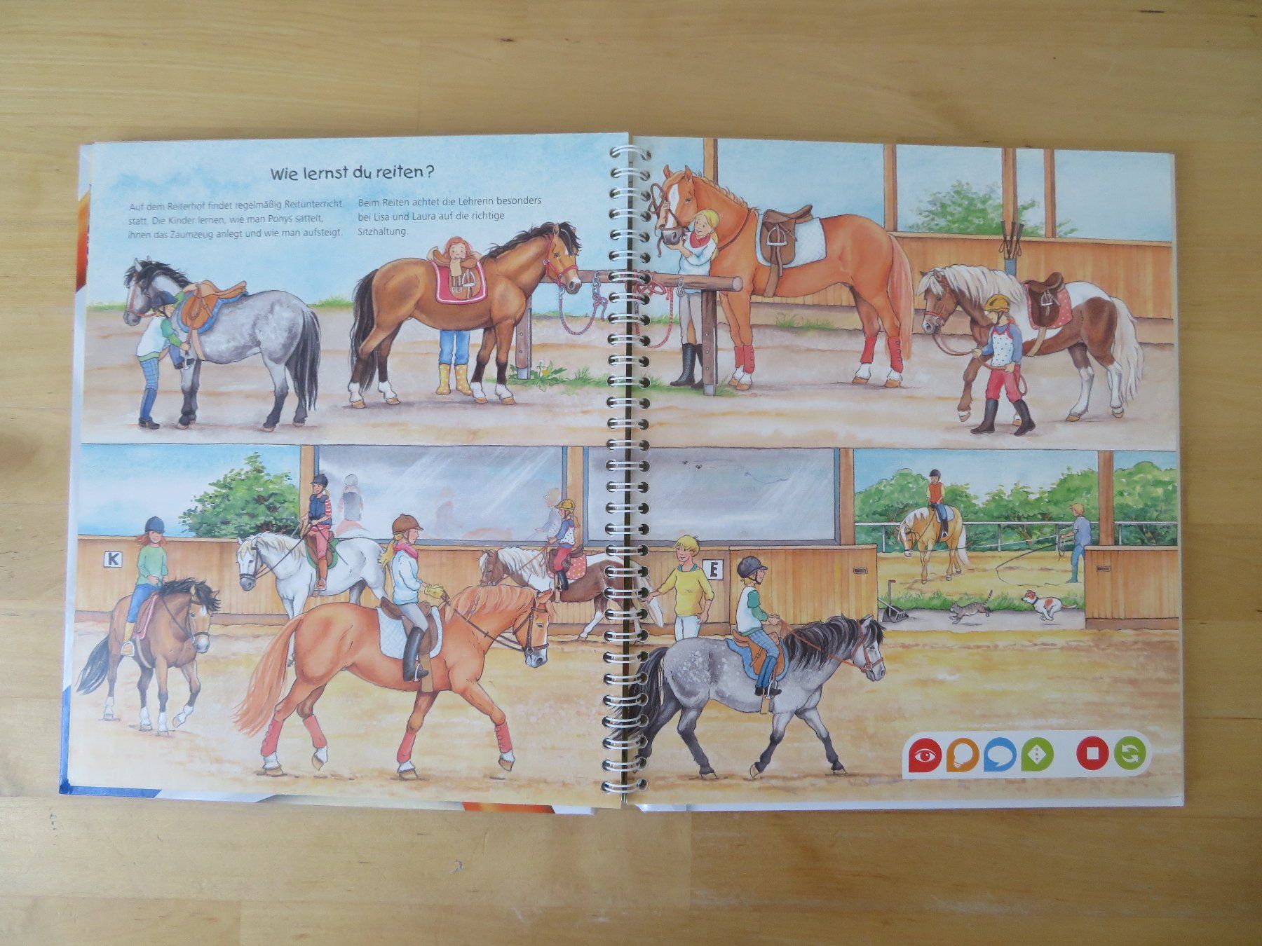 Libri: TIP TOI Buch "Pferde und Ponys" – Usato da Zürich venduto da piroma 2