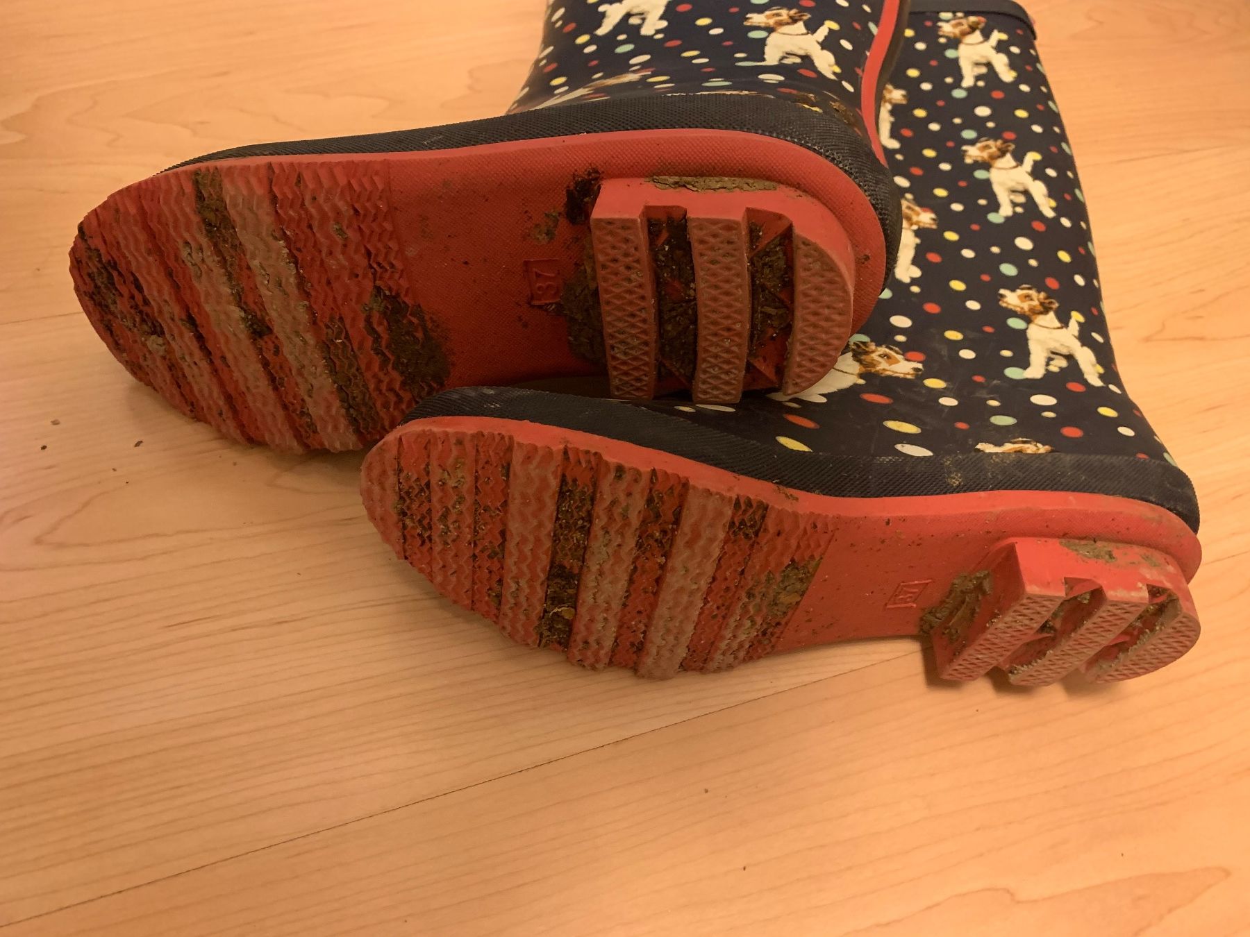 Scarpe da donna: Gummistiefel, Gr. 37 Hunde Muster – Usato da Ettingen venduto da evs_6w9m 4