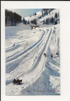 AK ca.1920 St. Moritz Cresta-Run, Finish 🛷🏁
