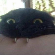 Profile image of Mysteriousman