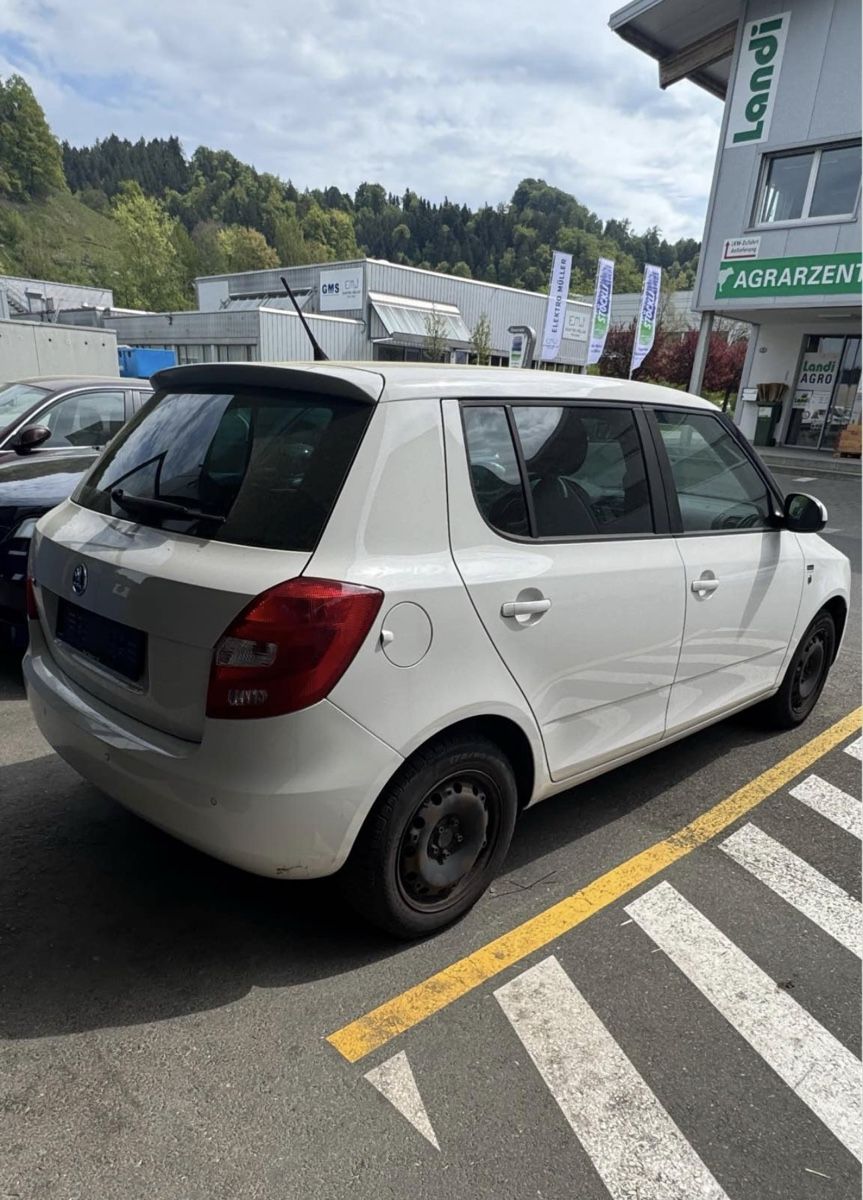 Skoda Automobili: Skoda Fabia 1.2 TSI Gtec – Usato da Willisau venduto da SM. 2