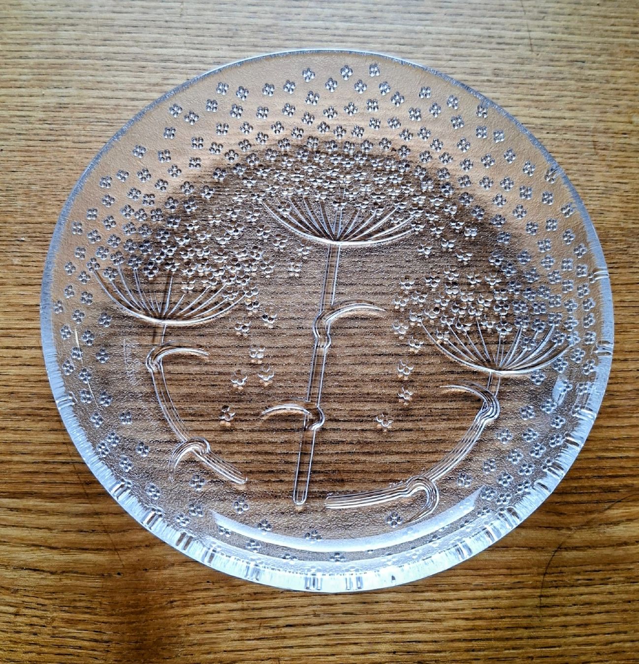 Rosenthal Set di piatti: Rosenthal Glasgeschirr – Usato da Luzern venduto da alpler1 3