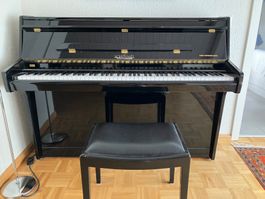 Klavier SCHIMMEL