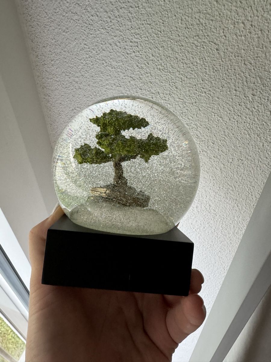 Tutte le decorazioni: Schneekugel Bonsai Baum CoolSnowGlobes – Nuovo (secondo la descrizione) da Luzern venduto da file_maker 6