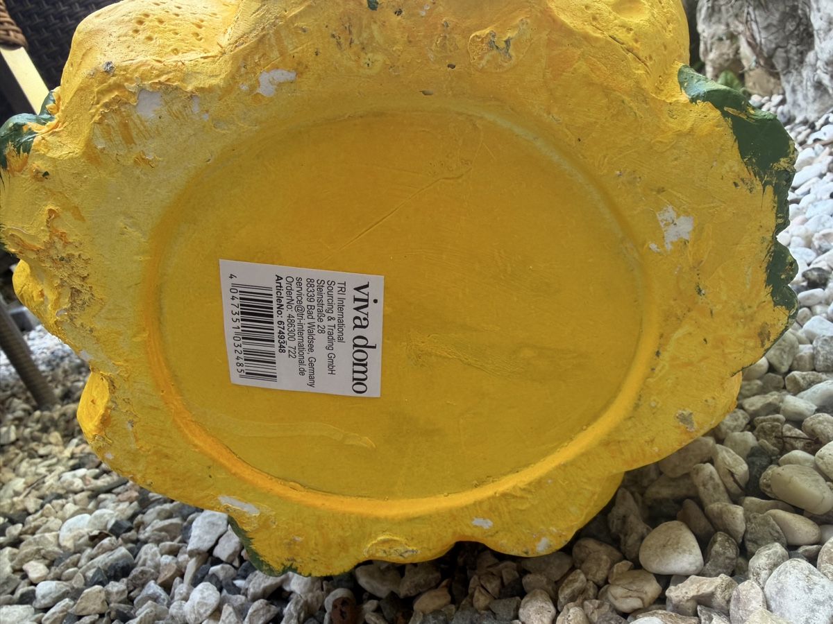 Blumentöpfe: Dekorativer Blumentopf – Gebraucht aus Pfäffikon ZH von lenaviktoria 3