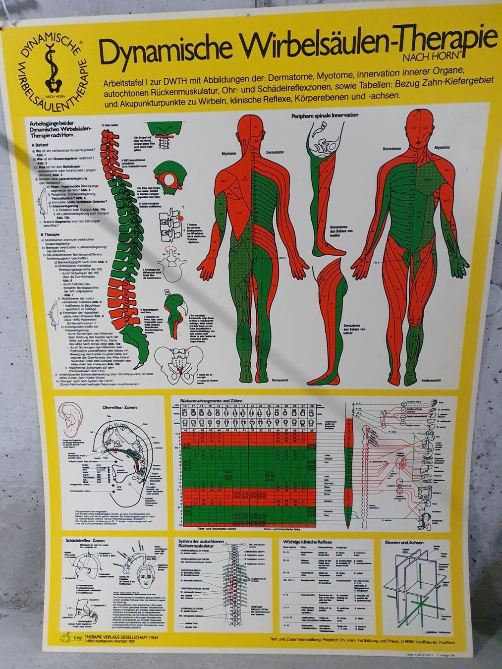 Foto & Immagini: Dynamische Wirbelsäulen-Therapie, Arbeitstafeln – Usato da Rieden AG venduto da willy52