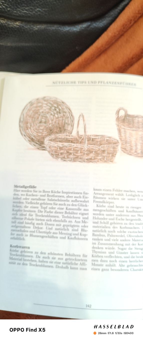Bücher: Gestalten mit Trockenblumen – Gebraucht aus Volken von katz5 4