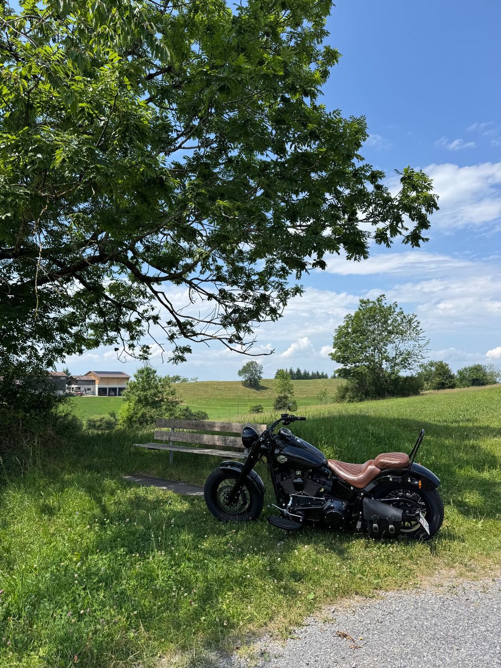 Harley-Davidson Chopper: Harley Softail Slim S110 FLSS – Usato da Buonas venduto da Mikesteal 2