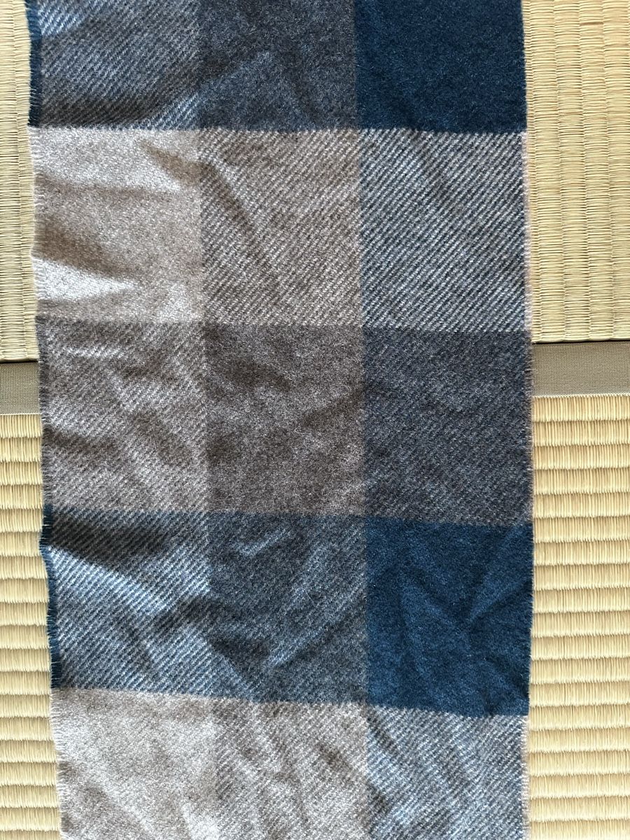 Foulard & Sciarpe: Écharpe en cachemire – Nuovo (secondo la descrizione) da Bottens venduto da pat_x66b 1