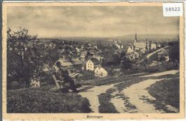 Binningen von oben - animee