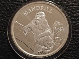 1Oz. 999. Ag. Kamerun 500 Francs "MANDRILL" 2021 Stgl.