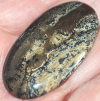 Cabochon L-4546 – Dendriten Opal – ca. 48x27mm