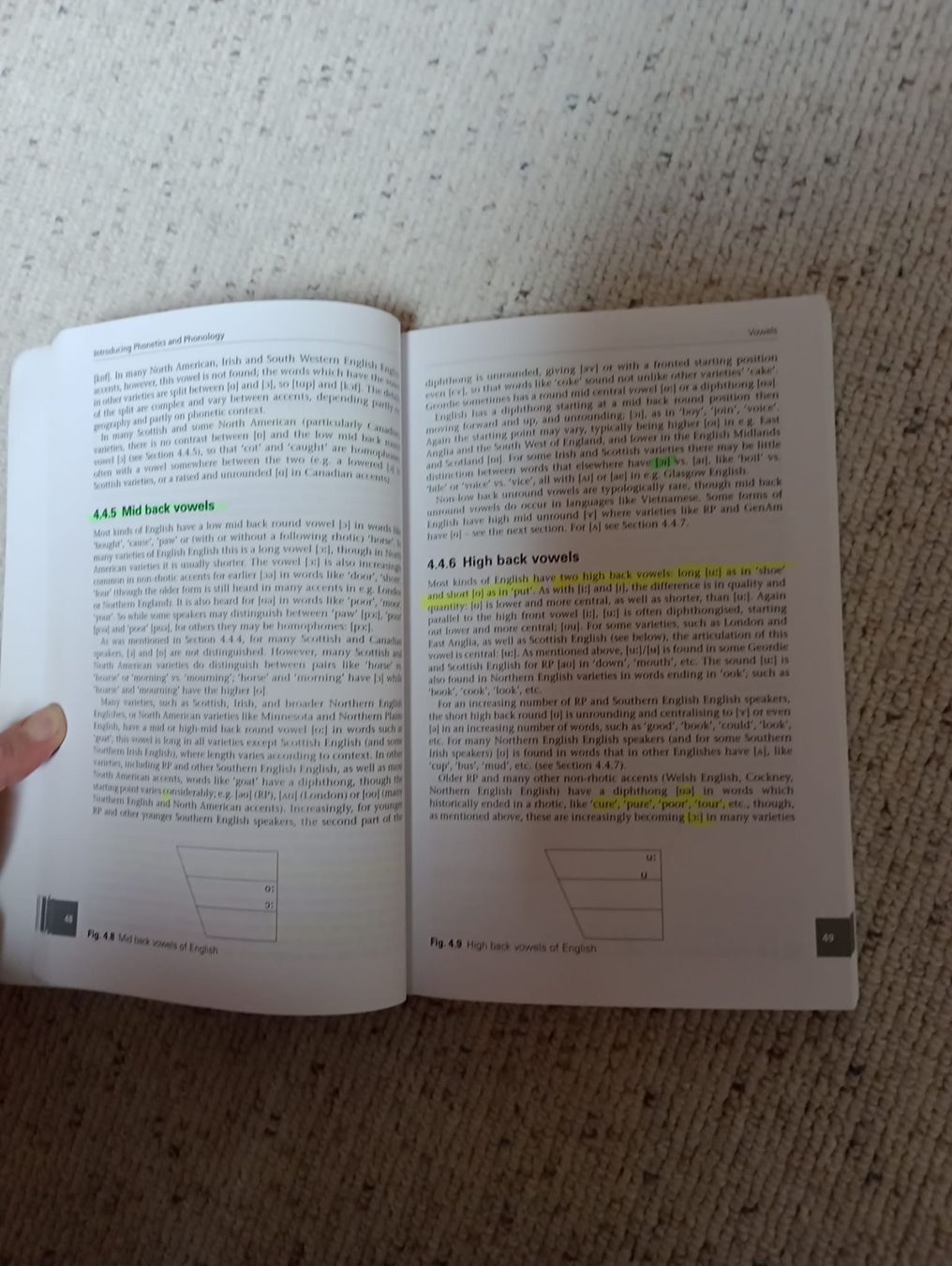 Libri: Introduction to Phonetics and Phonology – Usato da Wädenswil venduto da Mirm1.0 2