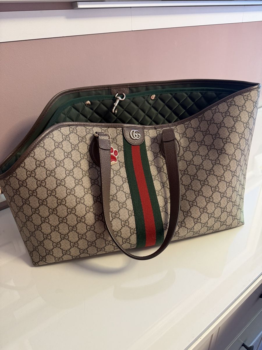 Gucci Borse: Gucci Hundetasche  – Nuovo (secondo la descrizione) da Horgen venduto da Pezi8810