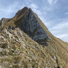 Profile image of ciril0885