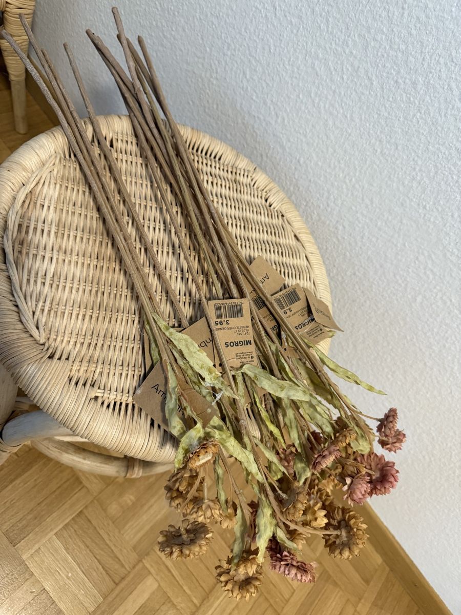 Tutte le decorazioni: Diverse Trockenblumen / Baumwolle etc... – Nuovo (secondo la descrizione) da Winterthur venduto da fij_f65r 7