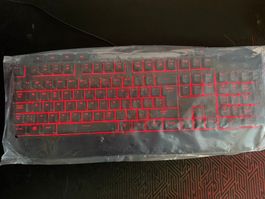 Asus Backlit KB V2 Tastatur mit Maus