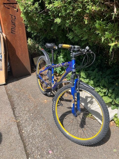 Velos: velo  – Gebraucht aus Rapperswil SG von chritega 1