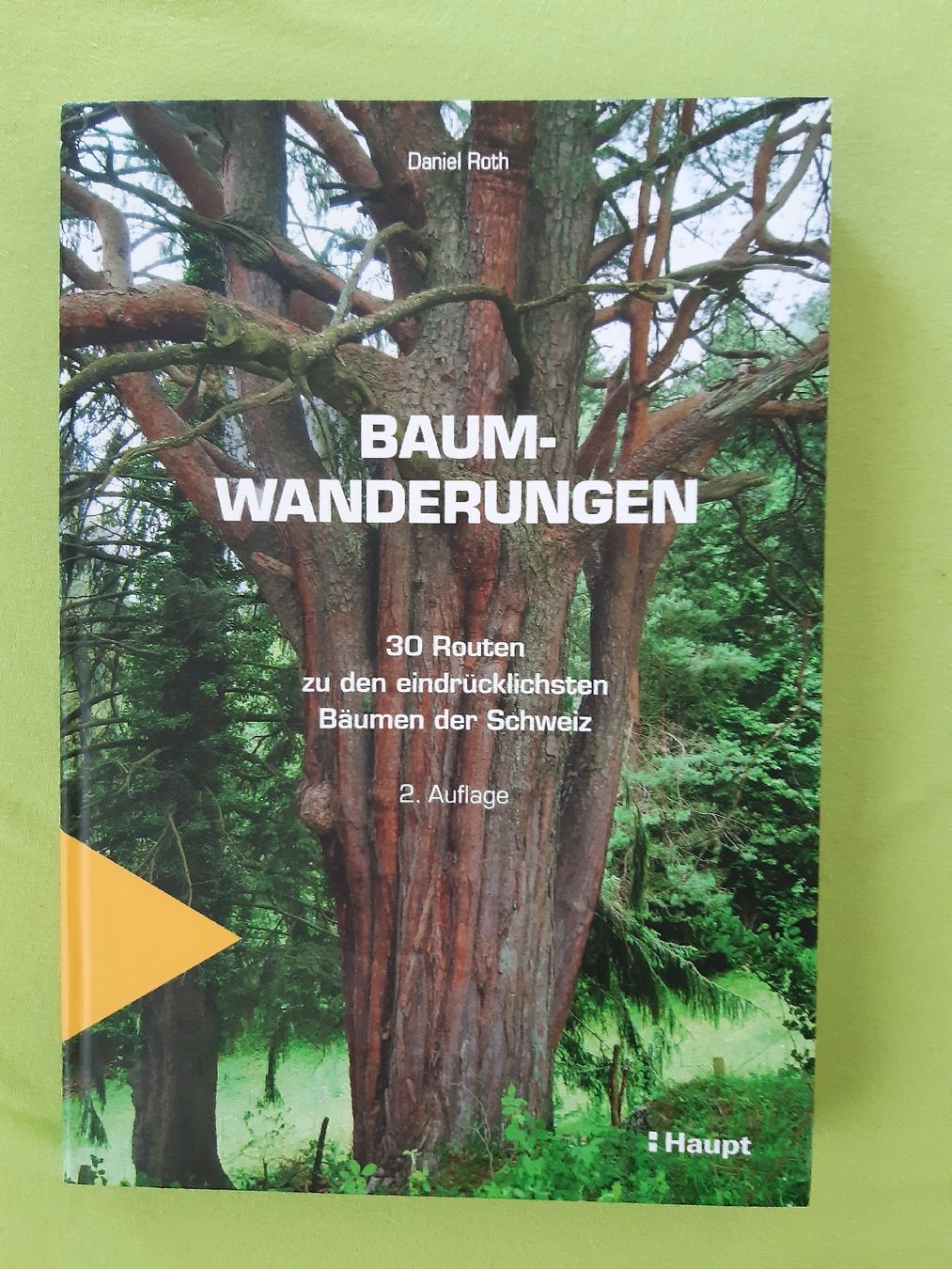 Livres: Baumwanderungen – D'occasion à Bazenheid par batapa
