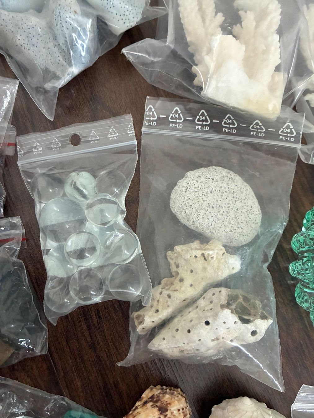 Fossili: Muschelset Diverses – Usato da Frick venduto da sandra037 8