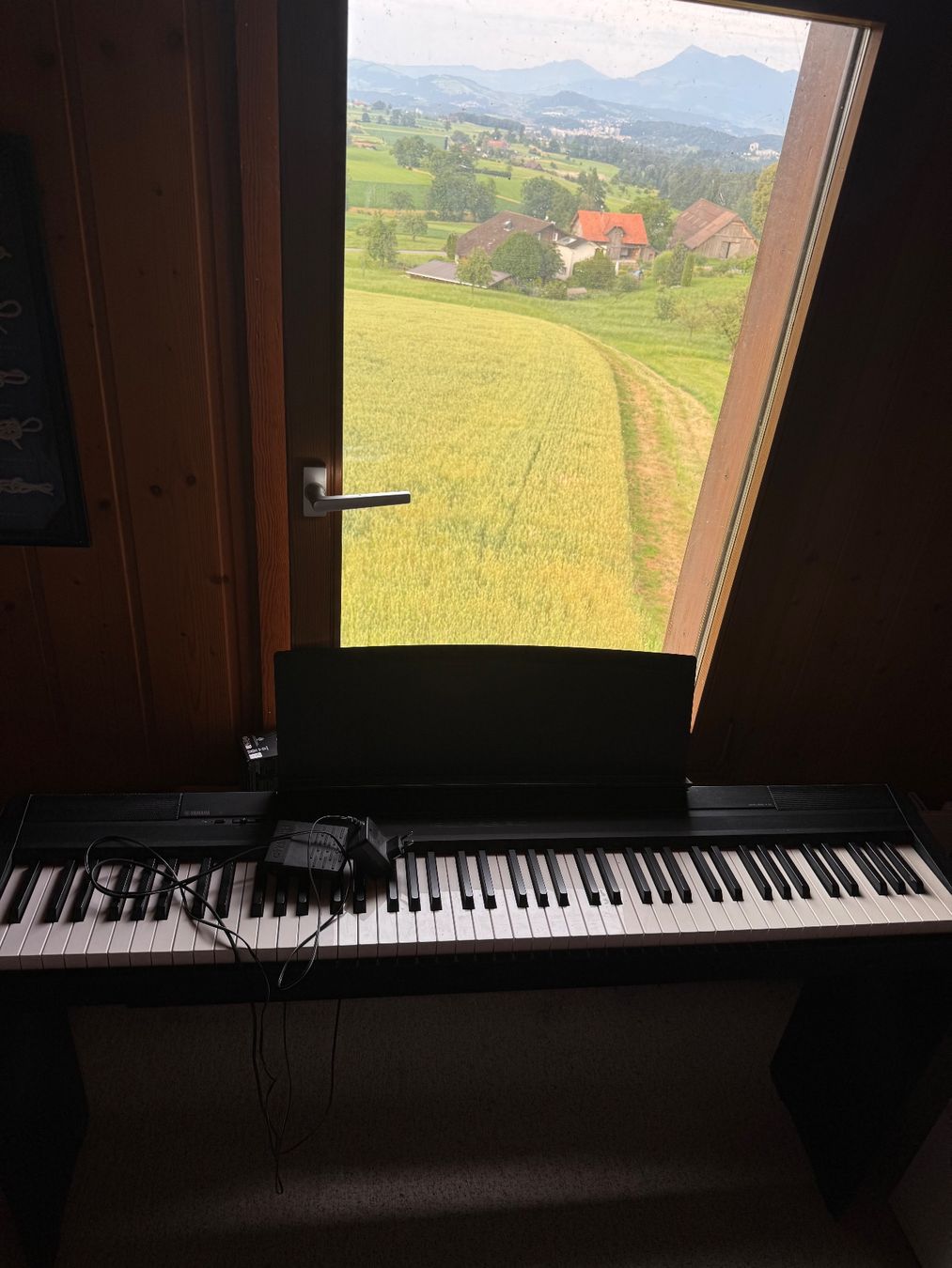 Strumenti musicali: Yamaha P-105 Digital Piano – Usato da Hellbühl venduto da Hellbuehler 2