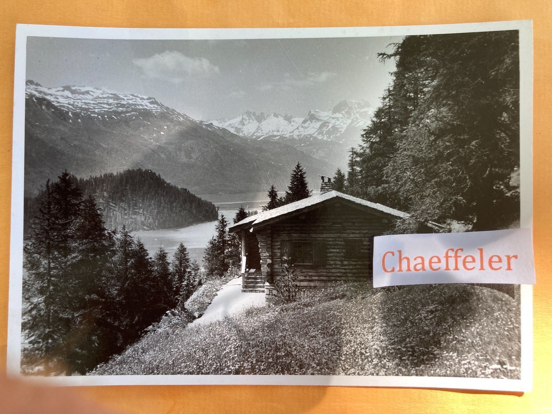 Cartoline postali: Gesamte Foppettas bei Champfér – Usato da Zürich venduto da Chaeffeler