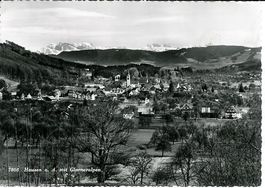 Hausen am Albis ZH Dorf Bauernhöfe 1946 sehr gut erhalten