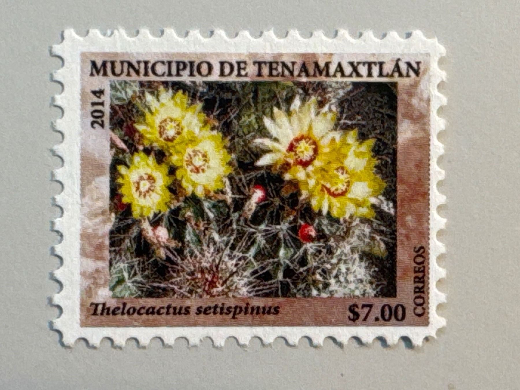 Alle Briefmarken: 2014 Temamaxtlan Mexiko – Gebraucht aus Küssnacht am Rigi von mic_xr8d