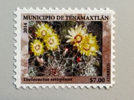 2014 Temamaxtlan Mexiko