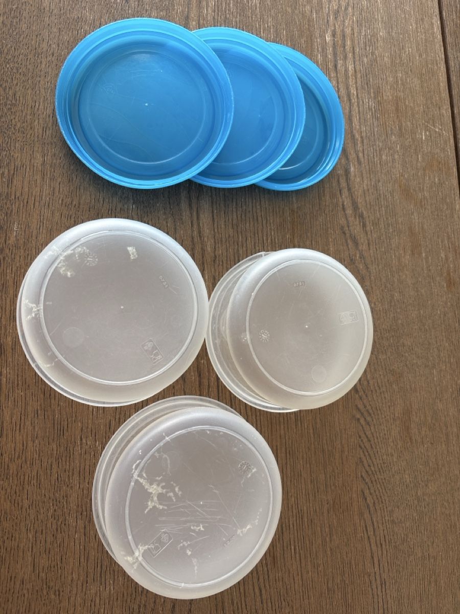 Migros Contenitori & Simili: Aufbewahrungsbox/Tupperware (0.75l) – Usato da Dübendorf venduto da And_dn5x 1