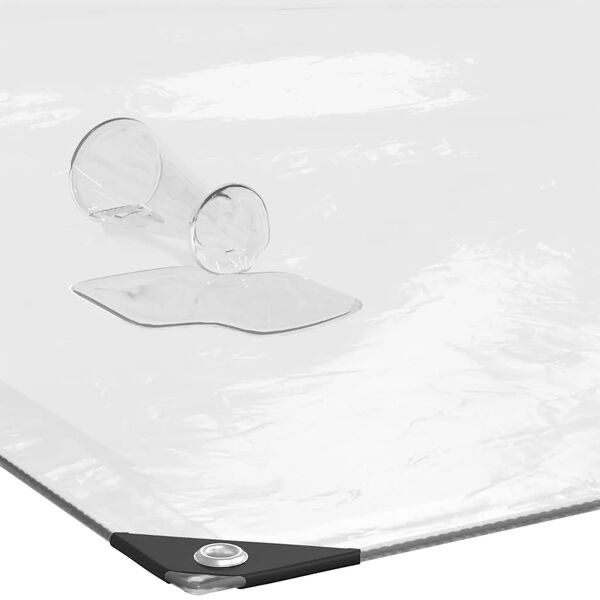 Altri Accessori: Bâche transparente avec œillets 1x2 m polyéthylène – Nuovo e nell'imballaggio originale da Palézieux venduto da bantouklan1 2