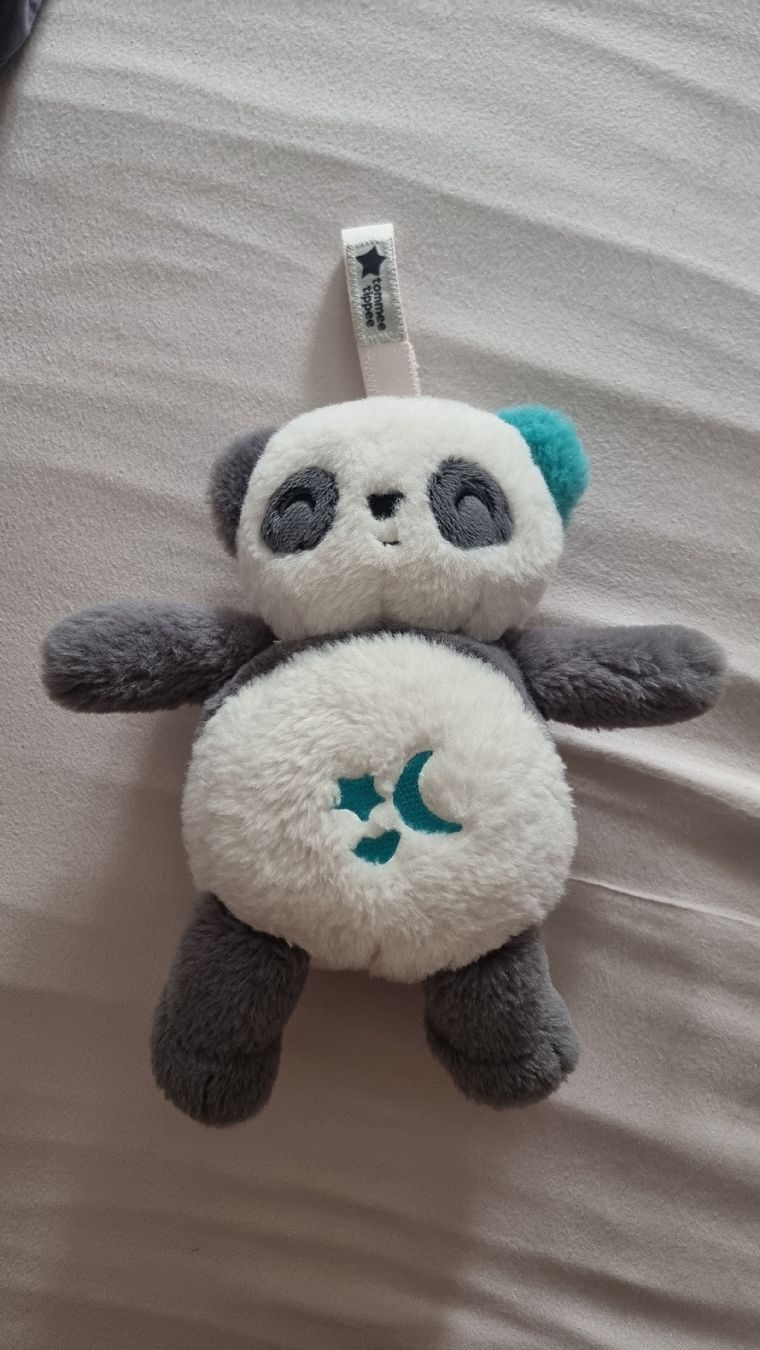 Jouets: Tommee Tippee Panda - wie neu – D'occasion à Bern par Ninath
