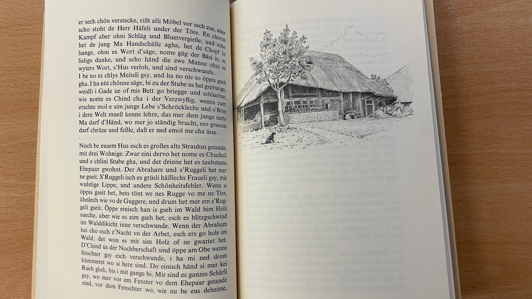 Libri: Öppis us mim Heimatdorf – Usato da Glattfelden venduto da cybermaxx 3