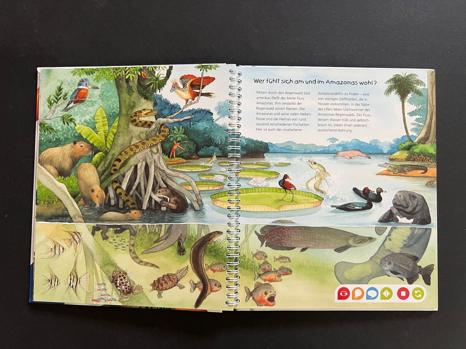 Bücher: Tip Toi TipToi entdecke den Regenwald Buch – Gebraucht aus Ennetbaden von mapa05 5
