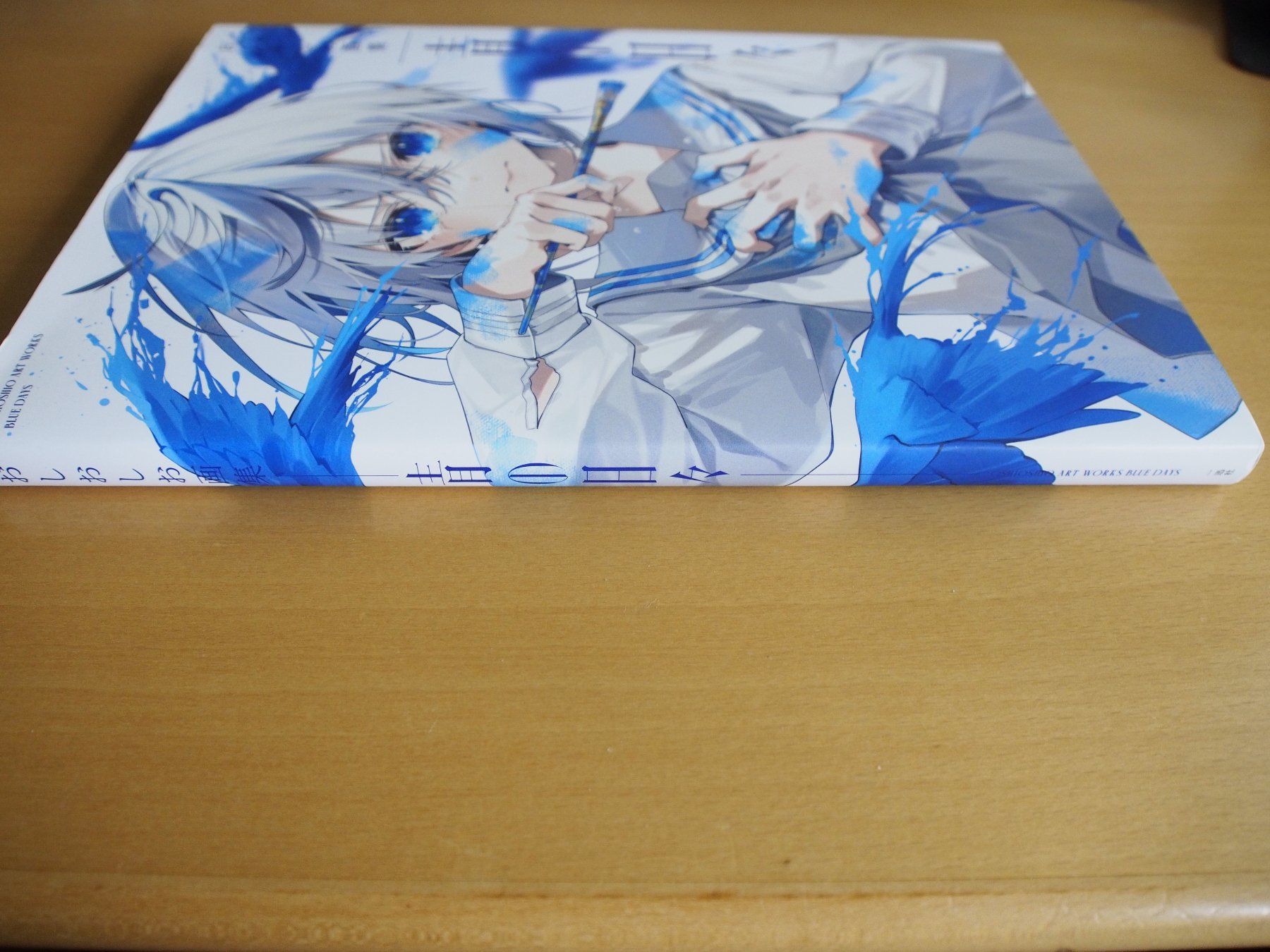 Libri: Blue Days (Artbook) – Usato da Winistorf venduto da raziel66 1