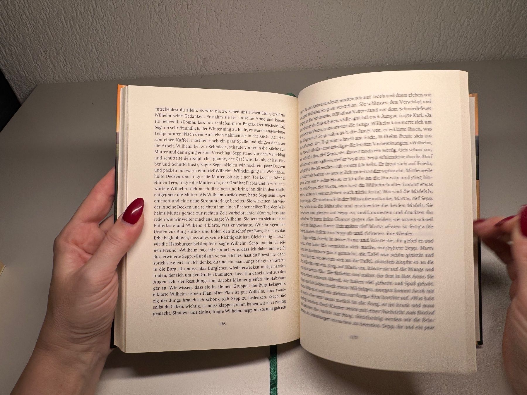 Libri: ROMAN: Peter Paul, Die Waldstätte – Usato da Grosswangen venduto da Deutsche_Romane 8